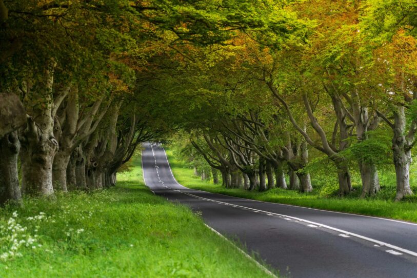 Road between Wimborne and Blandford min