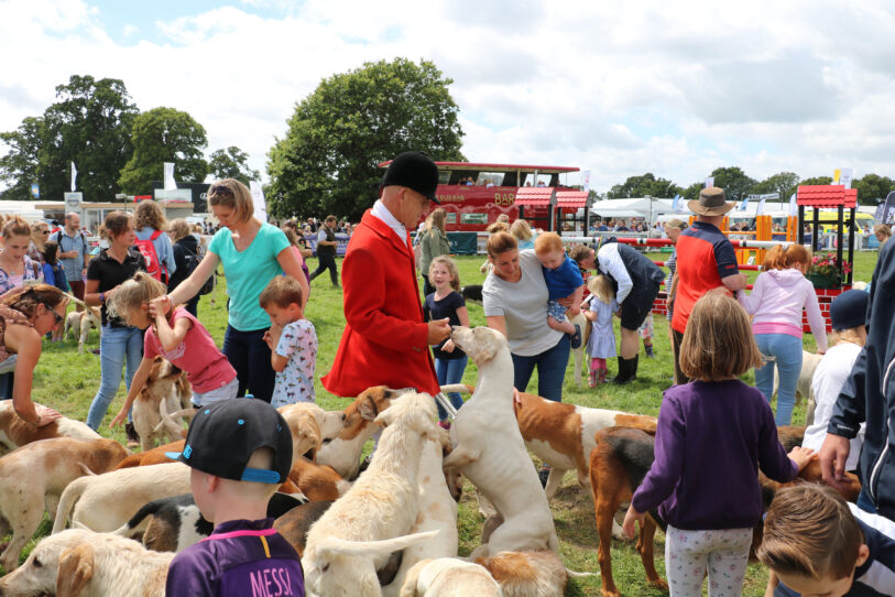 New Forest Show