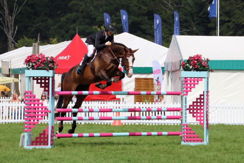 New Forest Show