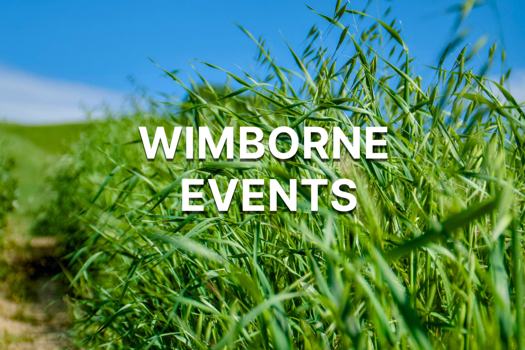 Wimborbe Events