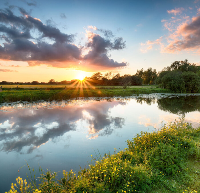 River Stour Wimborne