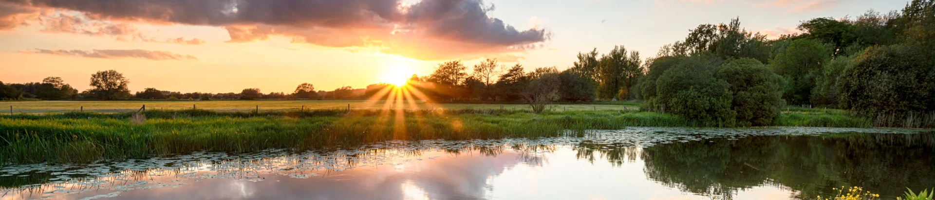 River Stour Wimborne Header